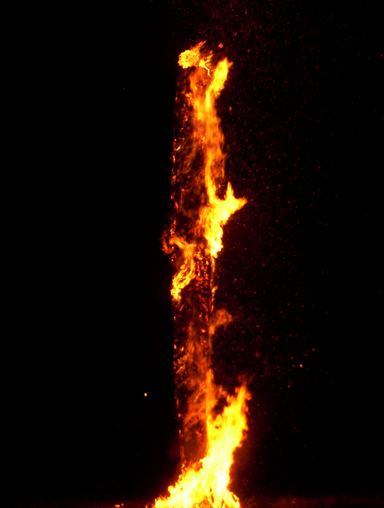 000_0522.JPG